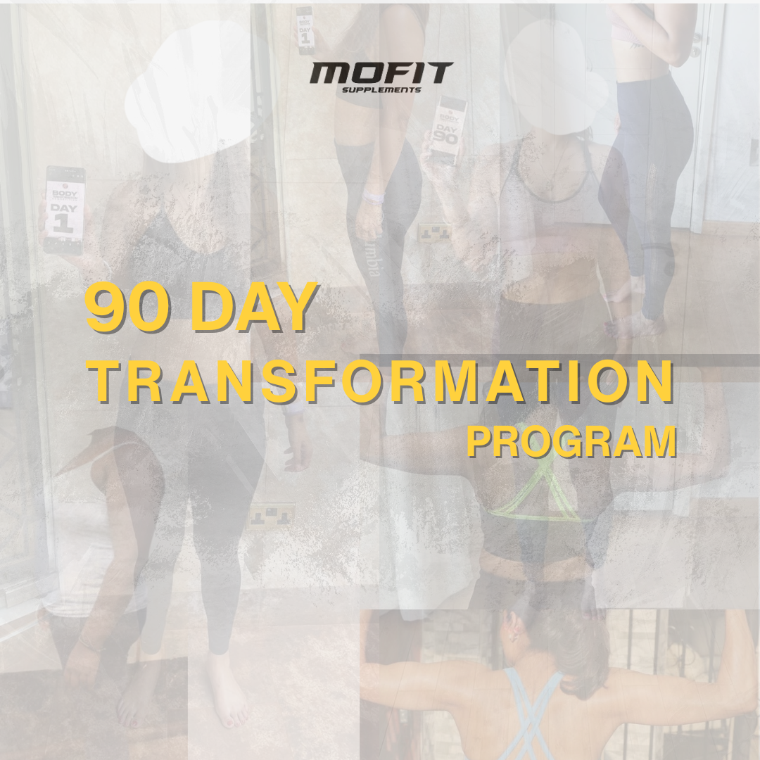 90 Day Transformation Program